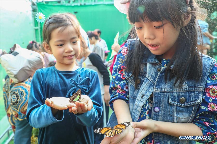 First Int'l Insect Art Science Fair Held in Beijing