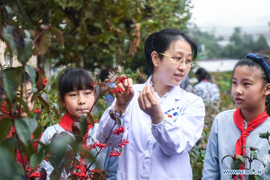 Primary Students Learn Traditional Chinese Medicine in Zheji
