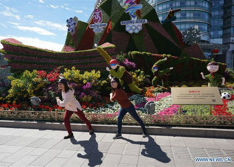 Beijing Decorated with Ornamental Flower Parterres for Upcom
